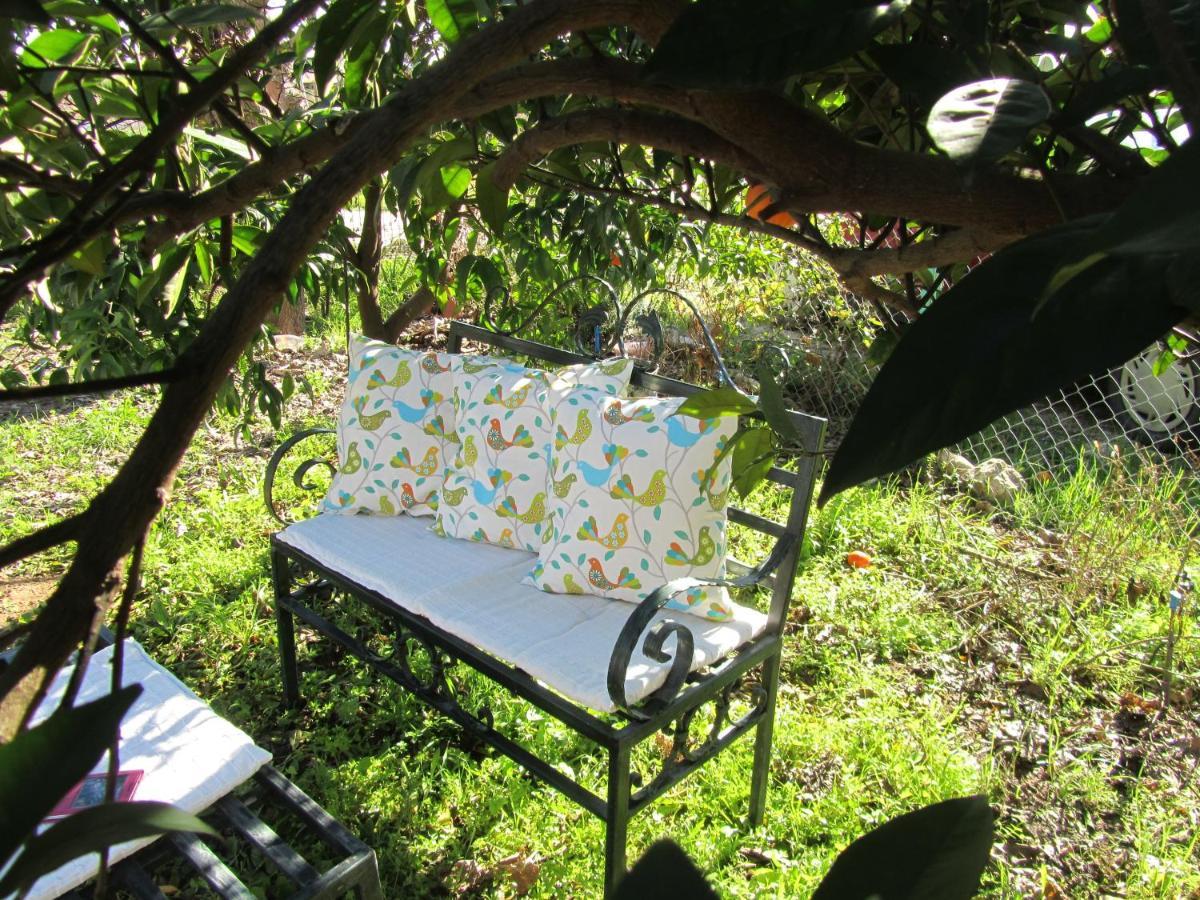 Cirali Kus Yuvasi Acomodação com café da manhã Quarto foto