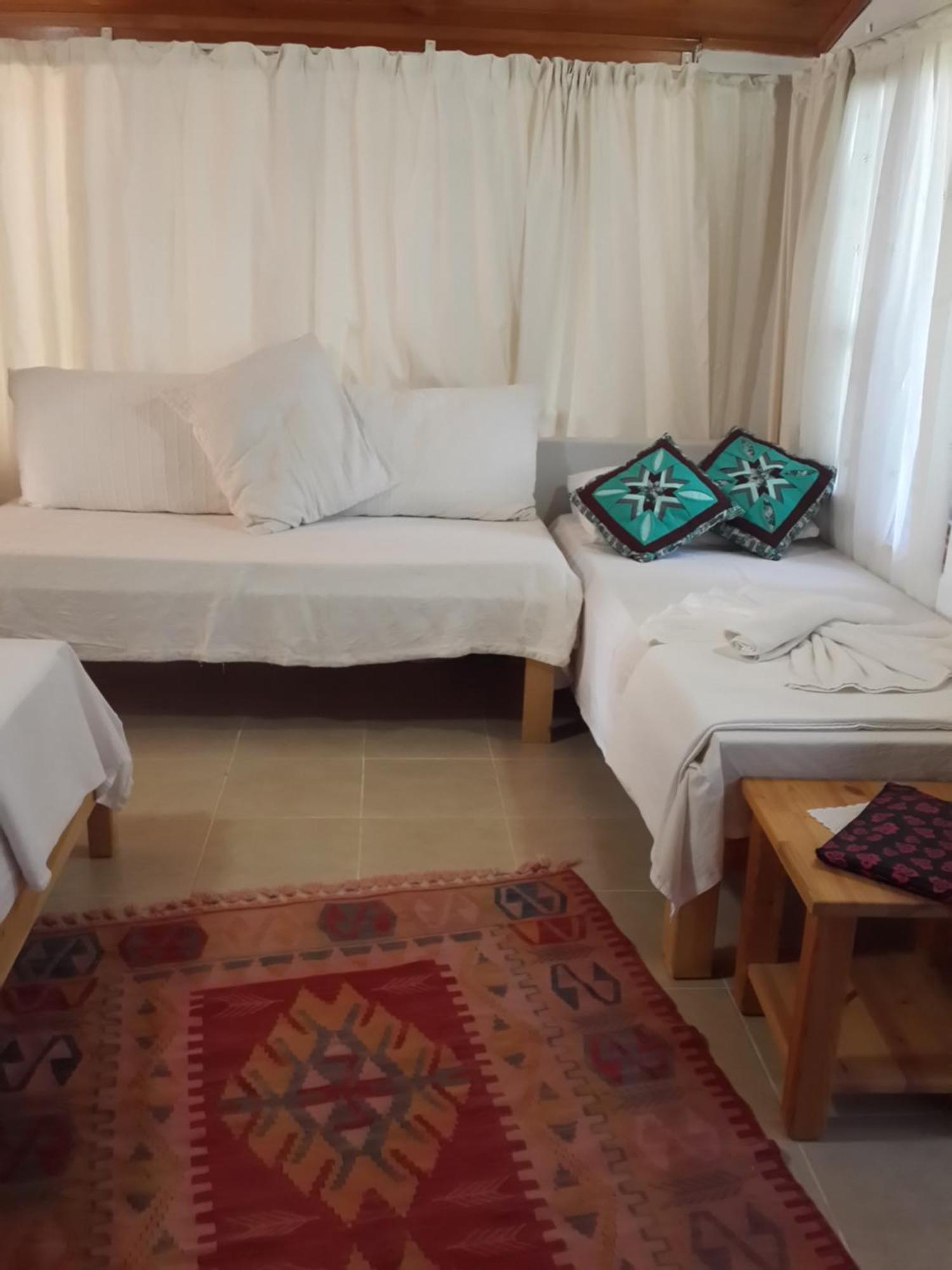 Cirali Kus Yuvasi Acomodação com café da manhã Quarto foto